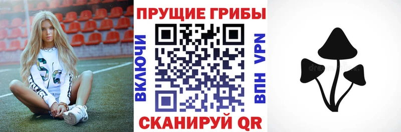 MEGA онион  Зеленодольск  Галлюциногенные грибы мухоморы 